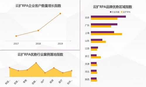 2025年中國(guó)RPA市場(chǎng)深度報(bào)告 競(jìng)爭(zhēng)格局與發(fā)展趨勢(shì)解析